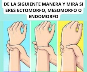Tipos de Complexión Corporal: Eres Ectomorfo, Mesomorfo o Endomorfo