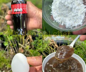 Elimina las arrugas, las manchas y la líneas de expresiones piel con esta crema anti edad natural