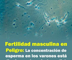 Fertilidad masculina en peligro: la concentración de esperma baja a nivel mundial.