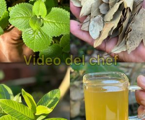 Los doctores no quieren que sepas que esta bebida cura muchísimas enfermedades como la diabetes tipo dos, el hígado graso, la mala circulación, la presión alta y el cáncer de manera natural y sin necesidad de gastar dinero en pastillas