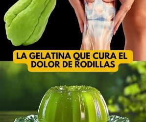 Razones por las cuales debes comer gelatina