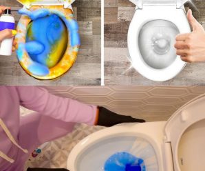 El truco genial para eliminar el olor a orina del baño y dejar un agradable aroma