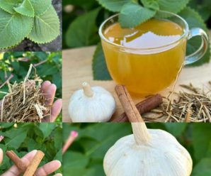 Un remedio natural que cambiará tu vida para la artritis, los pies hinchados, la mala circulación y el dolor de espalda