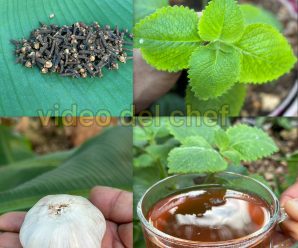 Un médico naturalista le recomendó a mi abuela este remedio casero y desde que lo tomó pudo desaparecer￼ la diabetes, la mala circulación, la presión alta y el hígado graso sin tomar pastilla
