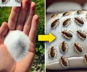 Cómo limpiar un colchón y eliminar manchas, ácaros y malos olores