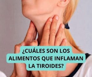 ¿Cuáles son los alimentos que inflaman la tiroides?