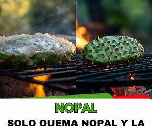 Solo pon el nopal en la parrilla y me lo agradecerás toda la vida. Si no sabias esto te estas perdiendo de una de las mejores recetas del mundo.