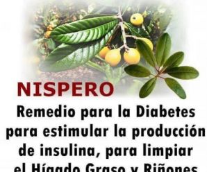 Beneficios del níspero