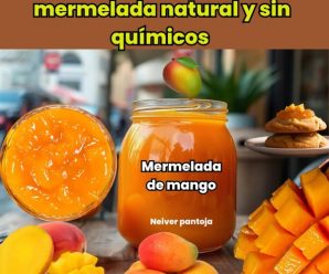 Deliciosa mermelada de mango casera natural