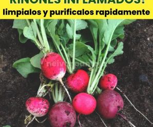 ¿Riñones inflamados? Límpialos y purifícalos con tan sólo dos ingredientes.