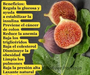 La infusión de hojas de higo es una opción natural que algunas personas utilizan para ayudar a controlar los niveles de azúcar en la sangre, gracias a sus posibles propiedades hipoglucemiantes.