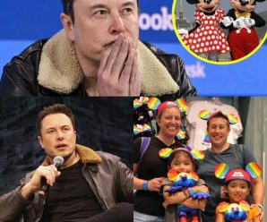 Elon Musk Cierra El Contenido De Orgullo De Disney En X