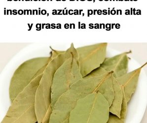 La hoja de Laurel