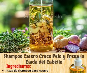 A mis 45 años, este champú casero convirtió mi cabello débil en una melena abundante y le dije adiós a la caída del pelo