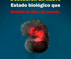 Descubren un nuevo estado biológico que desafía la vida y la muerte.