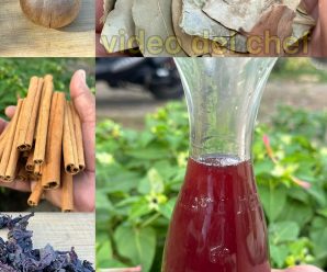 Un médico naturalista me dio esta receta y desde que me la tomé nunca más he padecido de diabetes