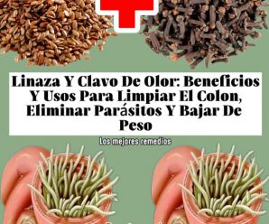 Linaza y Clavo de Olor: Beneficios y Usos para Limpiar el Colon, Eliminar Parásitos y Bajar de Peso