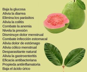 Asombrosos beneficios de tomar té de hojas de guayaba