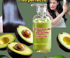 receta casera y sencilla para hacer un shampoo de aguacate!