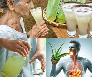 razones para beber agua de aloe vera todos los días + cómo prepararla