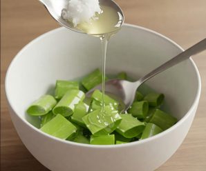 Aloe Vera y Aceite de Coco: El Secreto de Belleza Natural Que Pocos Conocen