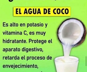 Aprende a utilizar el aceite de coco para poder aprovechar sus beneficios