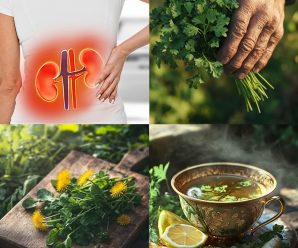 Infusión Depurativa para los Riñones