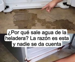 Por qué sale agua de la heladera? Esta es la razón que nadie percibe