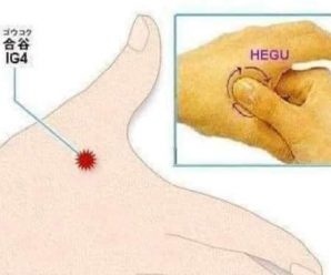 El Divino Punto Hegu: Un Botiquín Portátil en la Medicina China