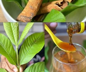 Esta es la razón por la cual los médicos recomiendan tomar la infusión de jengibre y canela.