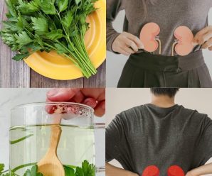 Purifica tus Riñones con Té de Perejil