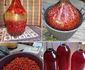 Receta de Vino de Rosa Mosqueta: Cómo Preparar esta Deliciosa Bebida Rica en Vitaminas de forma facil