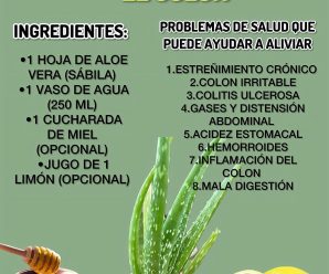 Jugo de Aloe Vera para el Colon: Beneficios, Receta y Uso