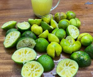El limon sus propiedades curativas. Propiedades y beneficios del limón