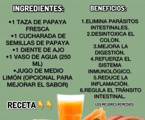 Jugo de Papaya y Semillas con Ajo para Eliminar Parásitos y Limpiar el Colon