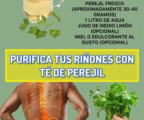 Purifica tus Riñones con Té de Perejil