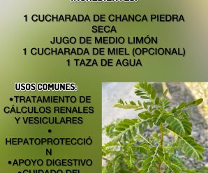 “Chanca Piedra: 15 Beneficios, Usos y Recetas para Mejorar tu Salud”