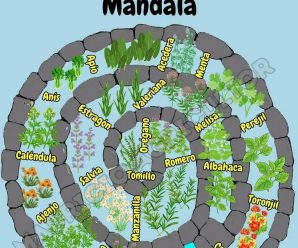Cómo crear una huerta circular o mandala