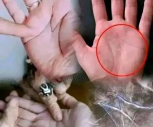 Descubre el Secreto de la Letra M en la Palma de Tu Mano: Intuición y Destino Descifrados