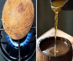 como hacer tu propio aceite de coco de forma muy facil