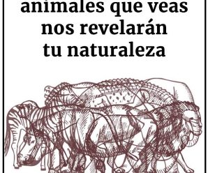Los Tres Primeros Animales que Veas Revelarán tu Naturaleza