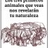 Los Tres Primeros Animales que Veas Revelarán tu Naturaleza