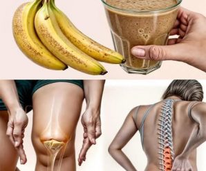 Batidos ricos en proteínas