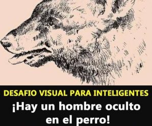 Desafío Visual: Encuentra el Rostro Oculto