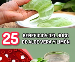 Agua de Aloe Vera con Limón: 25 Beneficios, Consejos y Preparación Correcta