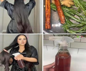 Romero en tu Shampoo: El Secreto Natural para un Cabello Más Largo y Fuerte