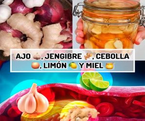 «Recetas con Miel, Limón, Ajo, Cebolla y Jengibre: Soluciones Naturales para la Salud»