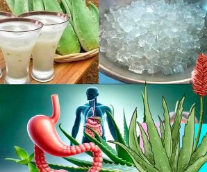 Agua de Aloe Vera con Limón: 25 Beneficios, Consejos y Preparación Correcta