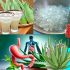 Agua de Aloe Vera con Limón: 25 Beneficios, Consejos y Preparación Correcta