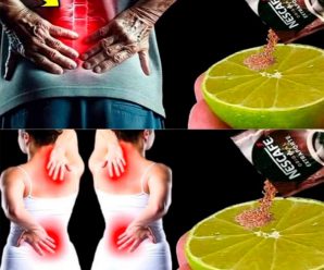 “Descubre cómo el limón y el café pueden ser tu aliado natural contra el dolor articular y muscular”